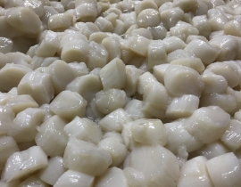 CỒI SÒ ĐIỆP - BAO TRẮNG
